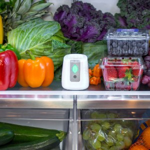 pureAir_FRIDGE-08